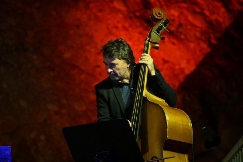 La Bustia Festival Gong 20 anys 2