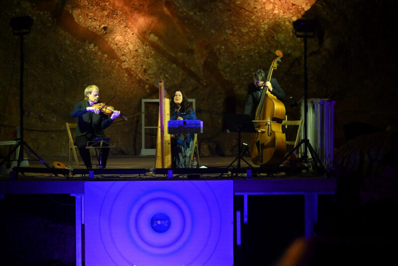 La Bustia Festival Gong 20 anys 5