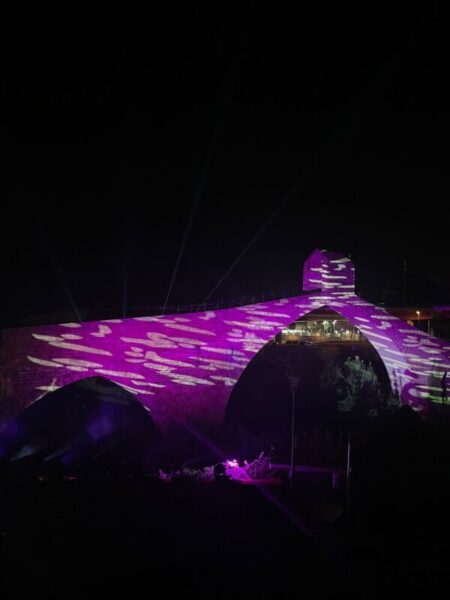 La Bustia PAS Martorell 6