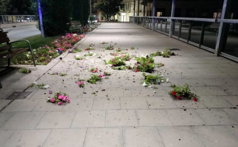 La Bustia flors destrossades Martorell 15 juliol 2025