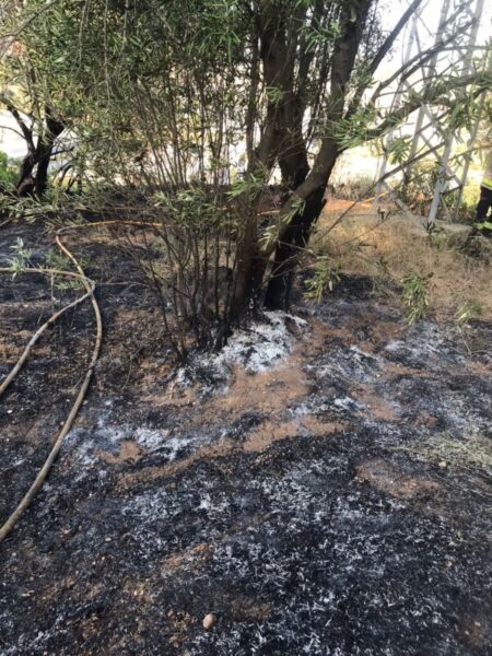 La Bustia incendi Esparreguera 2 juliol 2025