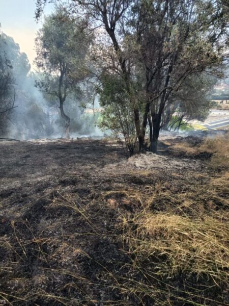La Bustia incendi Esparreguera 2 juliol 2025