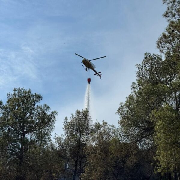 La Bustia incendi forestal Sant Andreu 2 juliol 2025