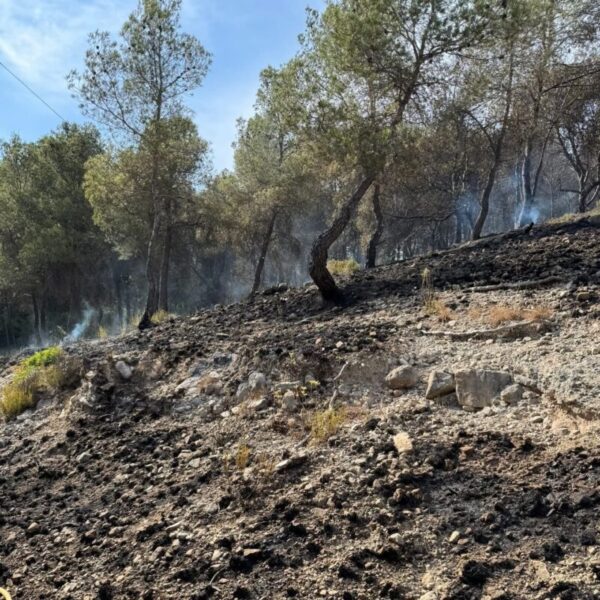 La Bustia incendi forestal Sant Andreu 2 juliol 2025