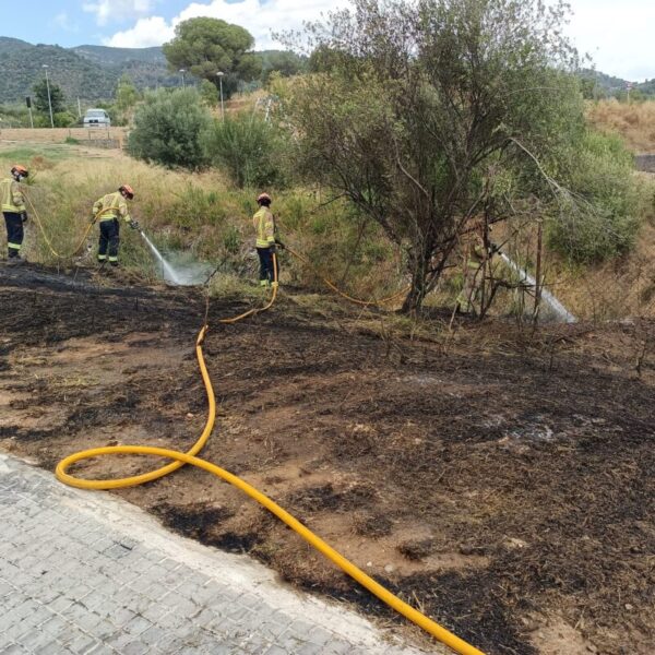 La Bustia incendi olesa 7 juliol 2