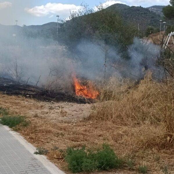 La Bustia incendi olesa 7 juliol 3