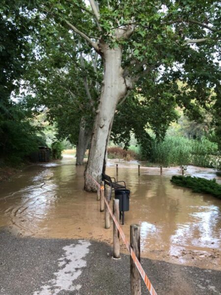 La Bustia pluja dana 12 juliol 2025 riu Anoia Martorell
