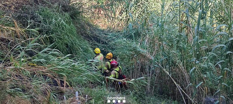 La Bustia incendi Esparreguera 14 agost 2