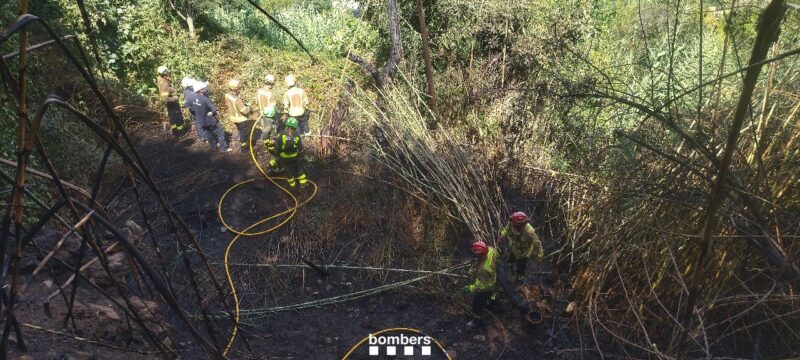 La Bustia incendi Esparreguera 14 agost 3