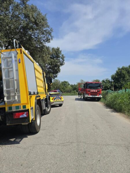 La Bustia incendi Esparreguera 15 agost 6