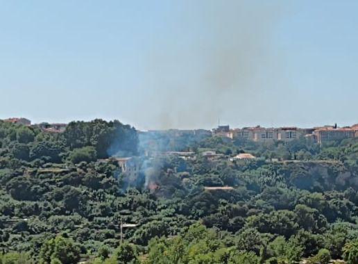 La Bustia incendi Esparreguera 15 agost 7