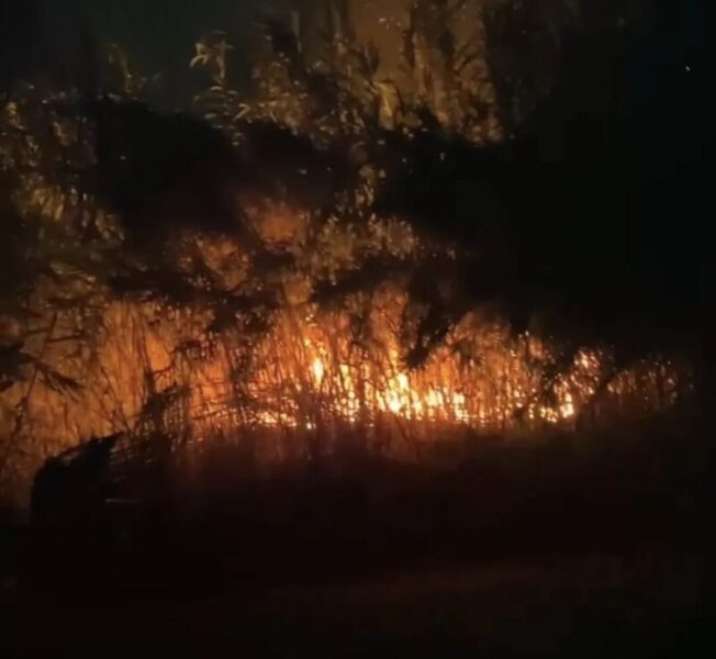 La Bustia incendi Martorell agost 3