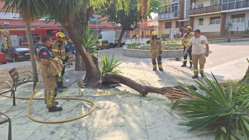 La Bustia incendi Sant Andreu 18 agost