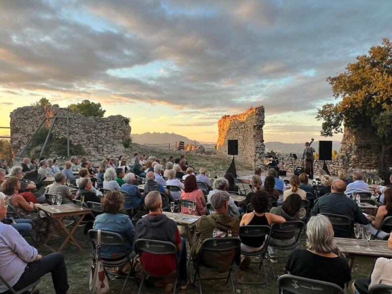 La Bustia Vetllada Poesia i Musica Alex Susanna 1