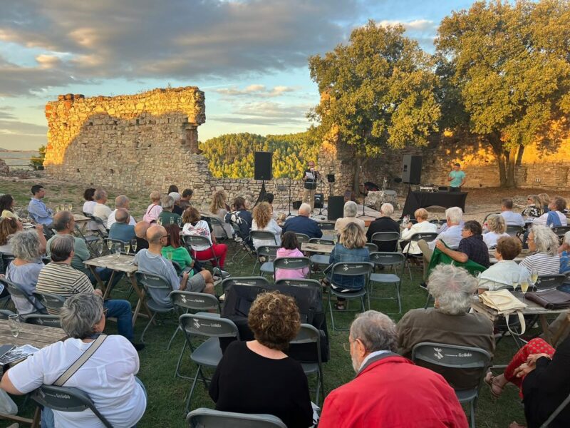 La Bustia Vetllada Poesia i Musica Alex Susanna 2