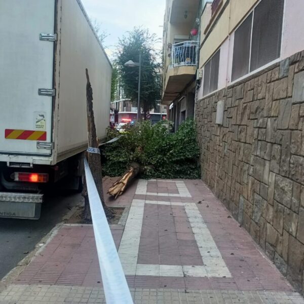 La Bustia camio accident arbre Olesa