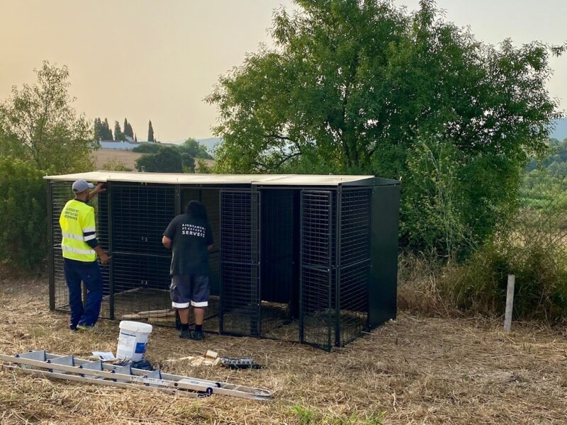 La Bustia gossera modular Sant Esteve