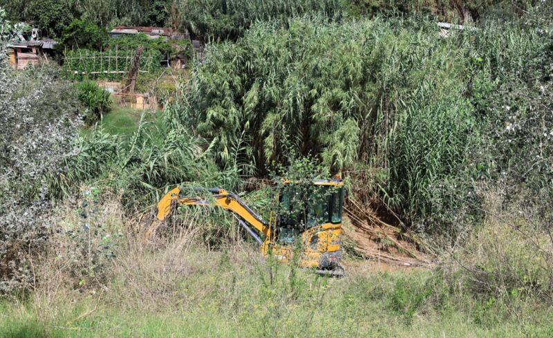 La Bustia millora marges riu Anoia Martorell 1