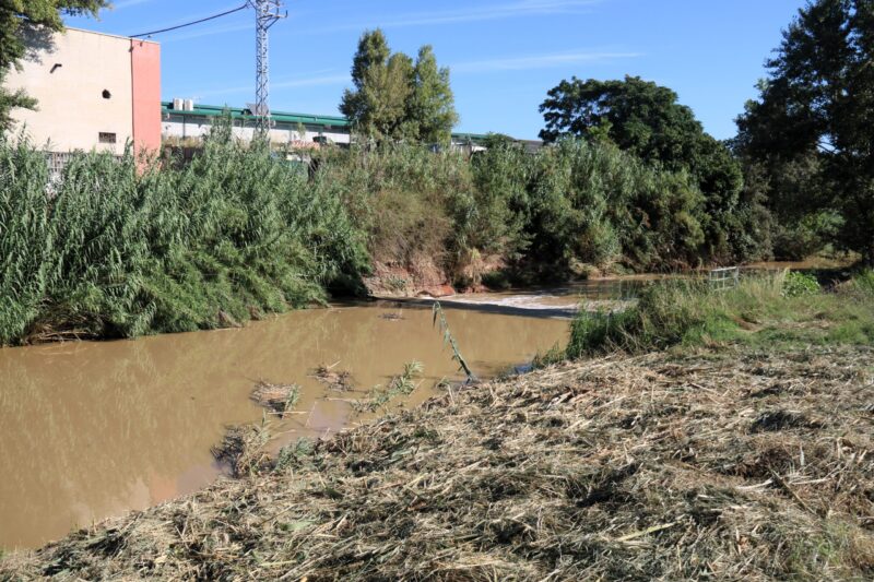 La Bustia millora marges riu Anoia Martorell 3