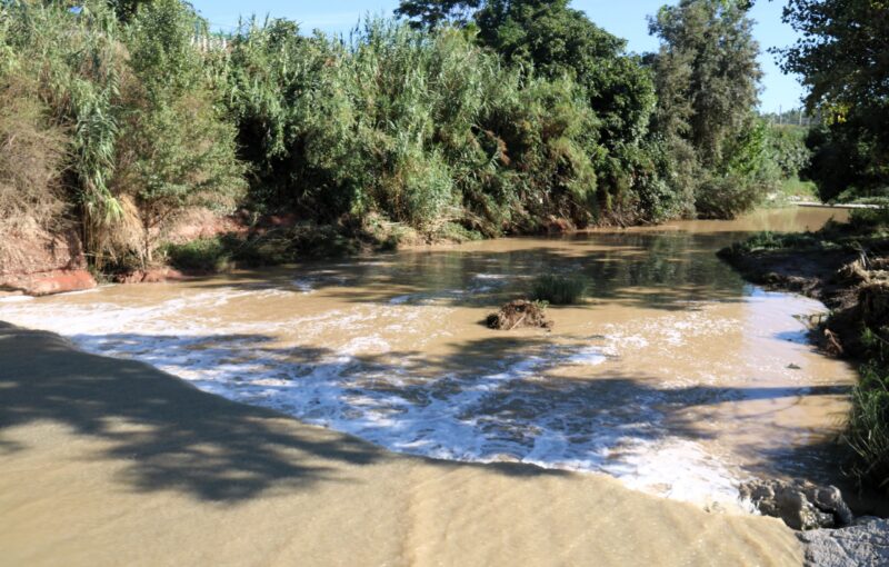 La Bustia millora marges riu Anoia Martorell 4