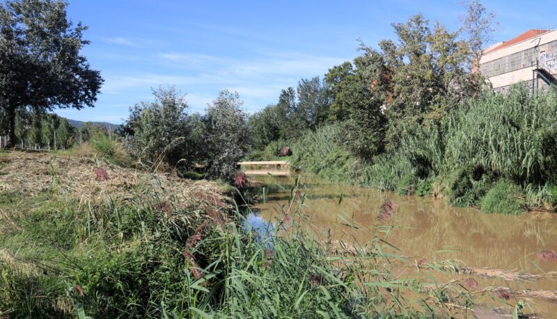 La Bustia millora marges riu Anoia Martorell 5