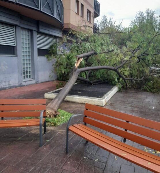 La Bustia pluges Abrera 5