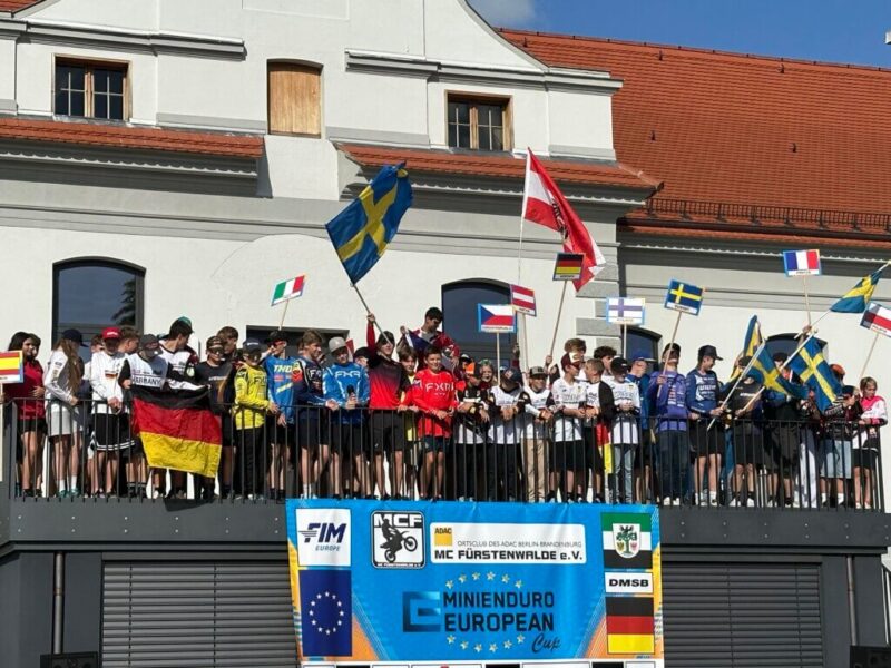 La Bustia Adela Godino 5