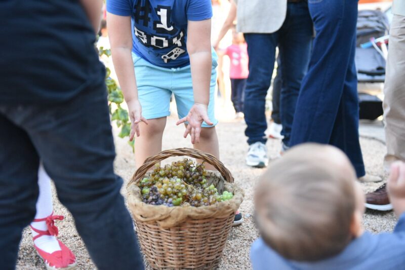 La Bustia Festa del Most Festa Roser Martorell 8