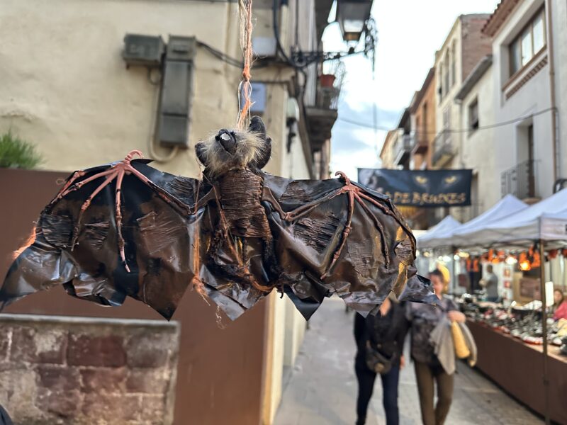 La Bustia Fira Bruixes Martorell 2025