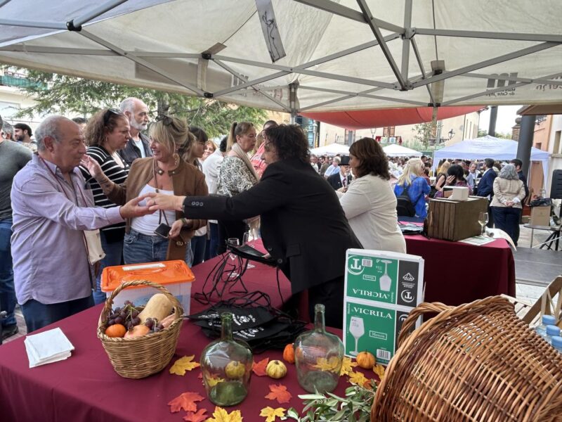 La Bustia Fira Vi i Cava Sant Esteve 11