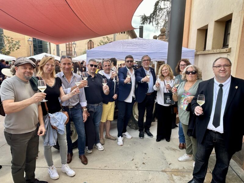 La Bustia Fira Vi i Cava Sant Esteve 17