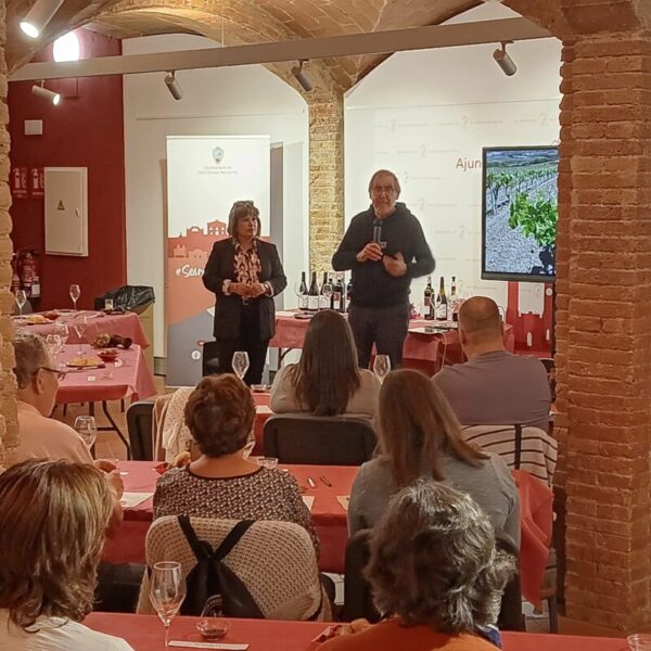 La Bustia Fira Vi i Cava Sant Esteve Musicant el vi 2