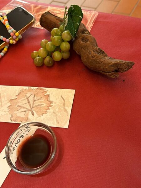 La Bustia Fira Vi i Cava Sant Esteve Musicant el vi 3