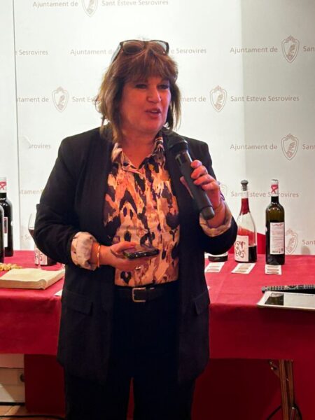 La Bustia Fira Vi i Cava Sant Esteve Musicant el vi 5