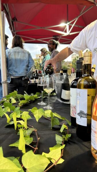 La Bustia Fira Vi i Gastronomia Esparreguera 12