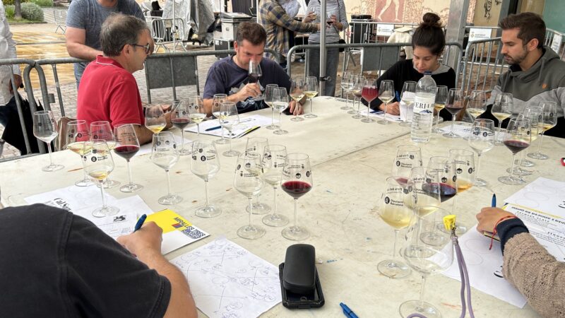 La Bustia Fira Vi i Gastronomia Esparreguera 13