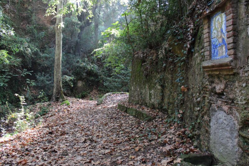 La Bustia Fonts de Miralles Castellvi