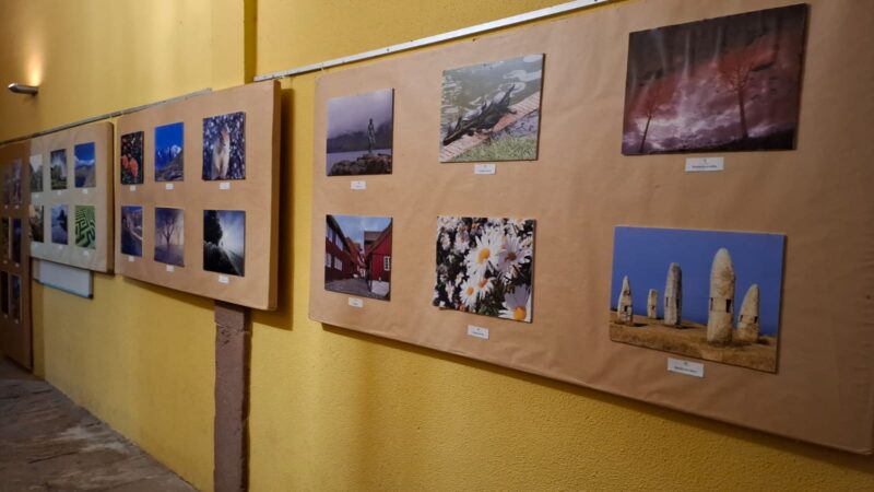 La Bustia concurs fotografia AE Martorell Festa del Roser 2025 2