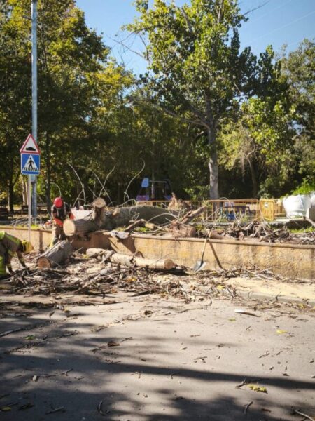 La Bustia forts vents Abrera 1