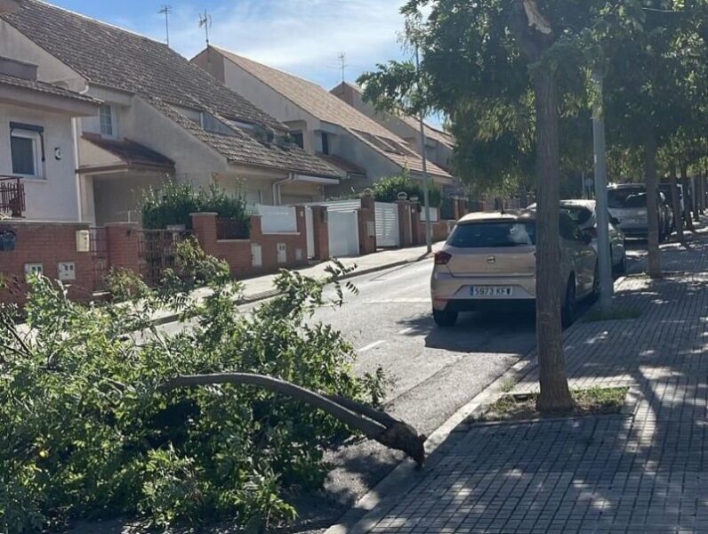 La Bustia forts vents Abrera 3