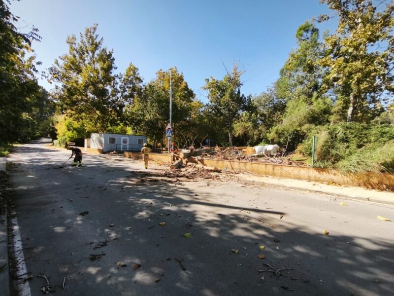 La Bustia forts vents Abrera 4