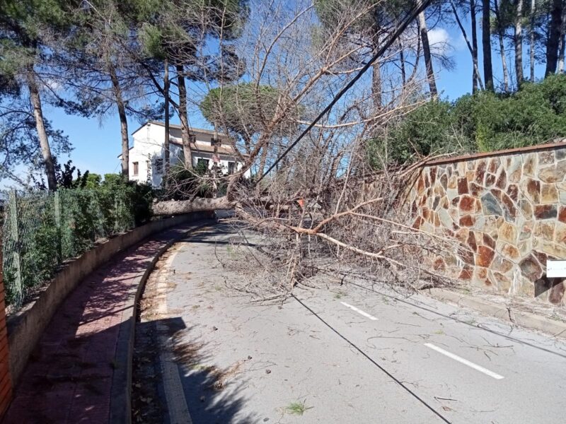 La Bustia forts vents Castellvi 1