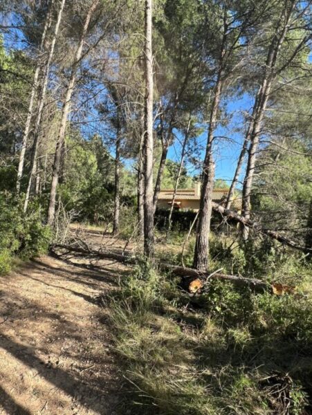 La Bustia forts vents Gelida 10