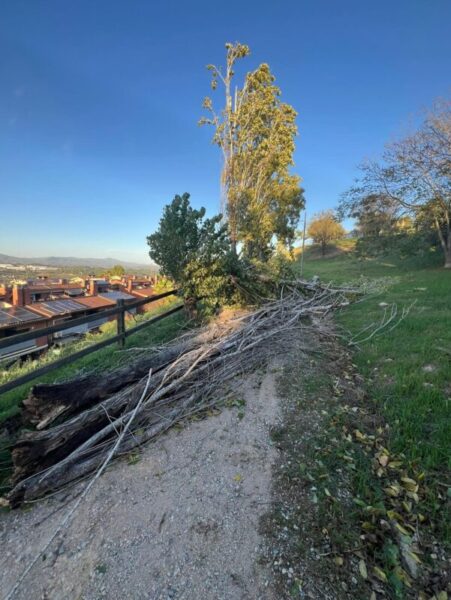 La Bustia forts vents Gelida 2