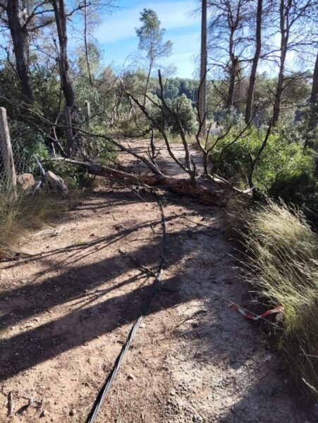 La Bustia forts vents Gelida 3