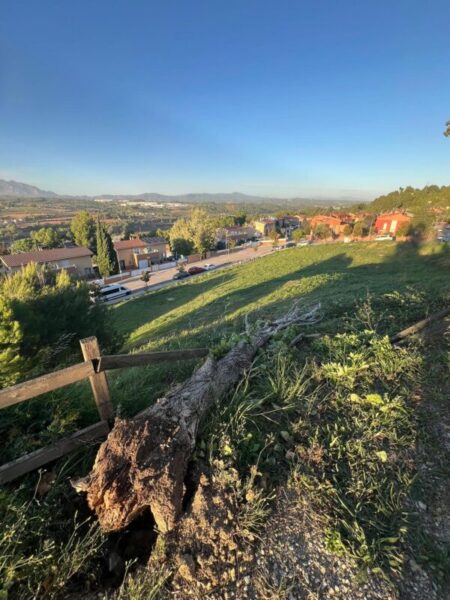 La Bustia forts vents Gelida 4