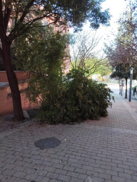 La Bustia forts vents Gelida 5