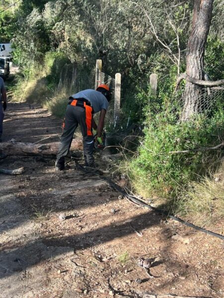 La Bustia forts vents Gelida 6