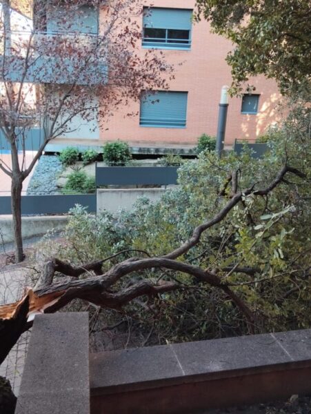 La Bustia forts vents Gelida 8