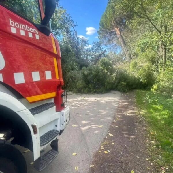 La Bustia forts vents Martorell 3